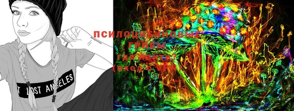 не бодяженный Арсеньев